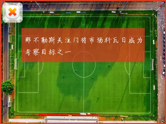 那不勒斯关注门将市场科瓦日成为考察目标之一