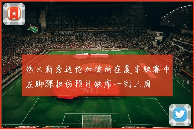 热火新秀迈伦加德纳在夏季联赛中左脚踝扭伤预计缺席一到三周