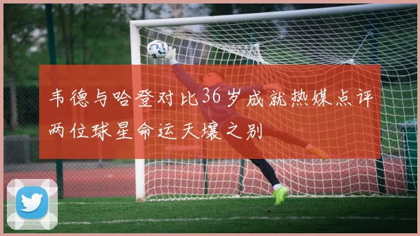 韦德与哈登对比36岁成就热媒点评两位球星命运天壤之别